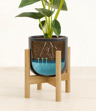 Load image into Gallery viewer, Stone Black stand:bamboo
