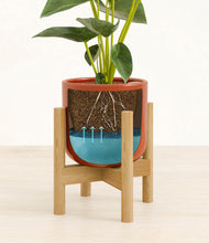 Load image into Gallery viewer, Glossy Red stand:bamboo
