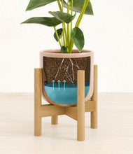 Load image into Gallery viewer, Glossy Pink stand:bamboo
