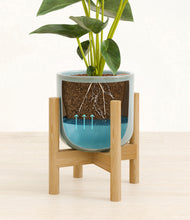 Load image into Gallery viewer, Reactive Aqua stand:bamboo
