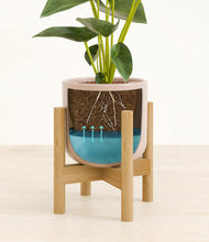 Load image into Gallery viewer, Sandy Pink stand:bamboo
