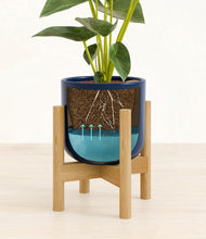 Load image into Gallery viewer, Twilight Blue stand:bamboo
