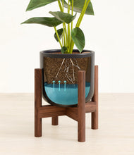 Load image into Gallery viewer, Stone Black stand:walnut
