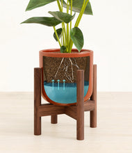 Load image into Gallery viewer, Glossy Red stand:walnut
