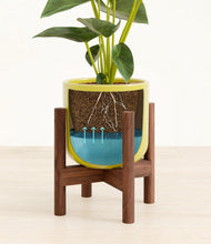Load image into Gallery viewer, Key Lime Yellow stand:walnut
