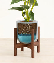 Load image into Gallery viewer, Misty Blue stand:walnut
