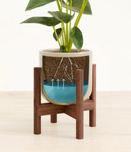 Load image into Gallery viewer, Sage Green stand:walnut
