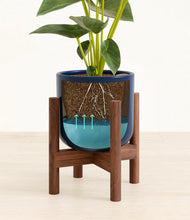 Load image into Gallery viewer, Twilight Blue stand:walnut
