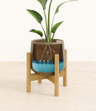Load image into Gallery viewer, Olive stand:bamboo
