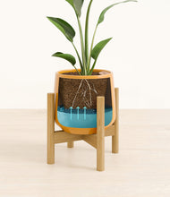 Load image into Gallery viewer, Mustard stand:bamboo
