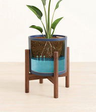 Load image into Gallery viewer, Deep Navy stand:walnut
