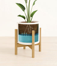 Load image into Gallery viewer, White stand:bamboo

