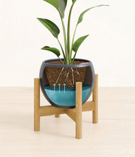 Load image into Gallery viewer, Deep Navy stand:bamboo
