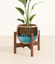 Load image into Gallery viewer, Calm Rose stand:walnut
