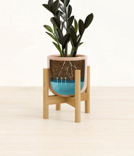 Load image into Gallery viewer, Glossy Pink stand:bamboo
