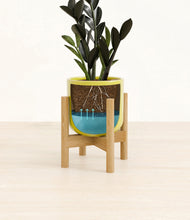 Load image into Gallery viewer, Key Lime Yellow stand:bamboo
