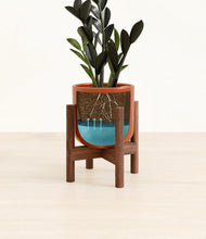Load image into Gallery viewer, Glossy Red stand:walnut
