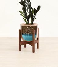 Load image into Gallery viewer, Glossy Pink stand:walnut
