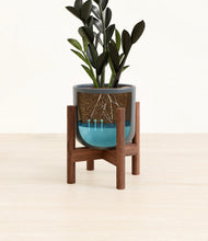 Load image into Gallery viewer, Iron Gray stand:walnut
