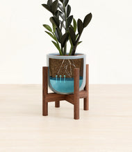 Load image into Gallery viewer, Misty Blue stand:walnut
