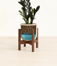 Load image into Gallery viewer, Sage Green stand:walnut
