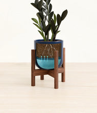 Load image into Gallery viewer, Twilight Blue stand:walnut
