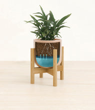 Load image into Gallery viewer, Glossy Pink stand:bamboo
