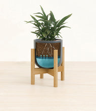 Load image into Gallery viewer, Iron Gray stand:bamboo
