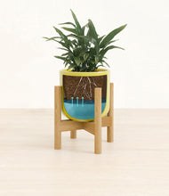 Load image into Gallery viewer, Key Lime Yellow stand:bamboo
