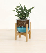 Load image into Gallery viewer, Misty Blue stand:bamboo
