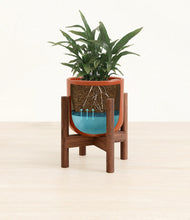 Load image into Gallery viewer, Glossy Red stand:walnut
