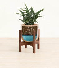 Load image into Gallery viewer, Glossy Pink stand:walnut
