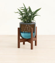 Load image into Gallery viewer, Iron Gray stand:walnut
