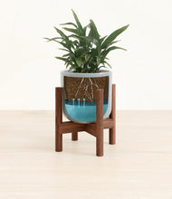 Load image into Gallery viewer, Misty Blue stand:walnut
