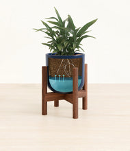 Load image into Gallery viewer, Twilight Blue stand:walnut
