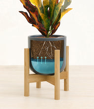 Load image into Gallery viewer, Iron Gray stand:bamboo
