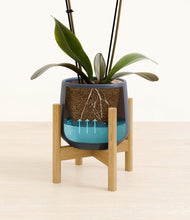 Load image into Gallery viewer, Deep Navy stand:bamboo
