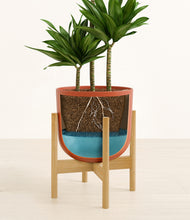 Load image into Gallery viewer, Earth Red stand:bamboo
