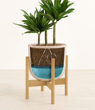 Load image into Gallery viewer, Sandy Pink stand:bamboo
