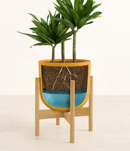 Load image into Gallery viewer, Sunset Orange stand:bamboo
