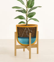 Load image into Gallery viewer, Sunset Orange stand:bamboo
