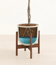 Load image into Gallery viewer, Natural Bamboo stand:walnut
