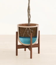 Load image into Gallery viewer, Sandy Pink stand:walnut
