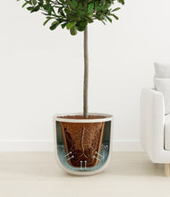 Load image into Gallery viewer, Natural Bamboo
