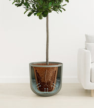 Load image into Gallery viewer, Sage Green
