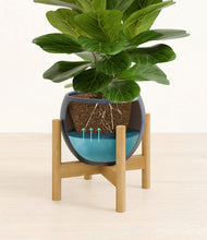 Load image into Gallery viewer, Deep Navy stand:bamboo
