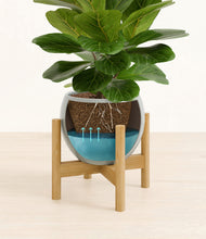 Load image into Gallery viewer, Deep Ocean stand:bamboo
