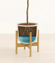Load image into Gallery viewer, Natural Bamboo stand:bamboo
