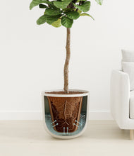 Load image into Gallery viewer, Natural Bamboo
