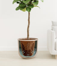 Load image into Gallery viewer, Sandy Pink
